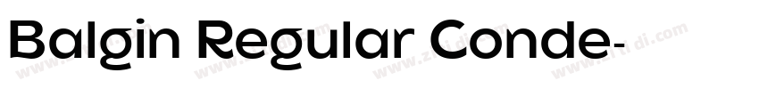Balgin Regular Conde字体转换